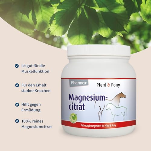 Pharmox Pferd & Pony Magnesiumcitrat (500 Gramm Pulver) - 100% aus reinem Magnesium ohne Zusätze - Hochdosiert - Ist gut für die Muskelfunktion - Für den Erhalt starker Knochen