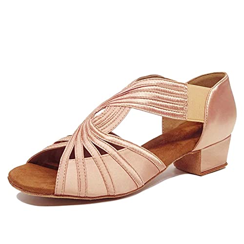 HIPPOSEUS Women Low Heel Latin Ballroom Dance Shoes Indoor Salsa Batchata Practice Dancing Shoes