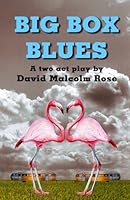 Big Box Blues 1482313073 Book Cover