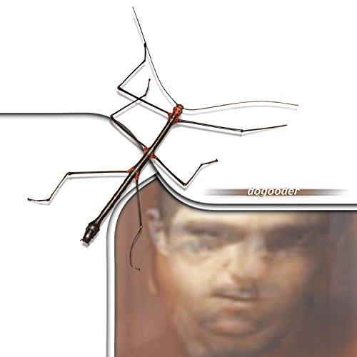 Super Sport (feat. Damion Wagner & Ernest Jow)