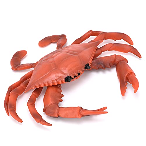 Modelo de cangrejo, 17.5 x 2.3 cm, 3 colores, animales marinos realistas simulados accesorios educativos de cangrejo de plástico para niños juguetes de cangrejo (PL127-777 cangrejo rojo (0.072kg))