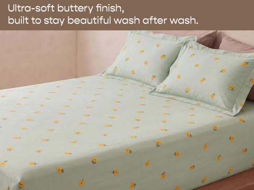Image of SleepyCat 300 TC Cotton-Soft Microfiber Bedsheet with 2 Pillowcases|Wrinkle-Free|300 TC Plain Weave|No Creases, No Shrinkage|No Colour Fading|150 GSM|Mist Daisy|Fits Mattress Upto 8 Inches|Double