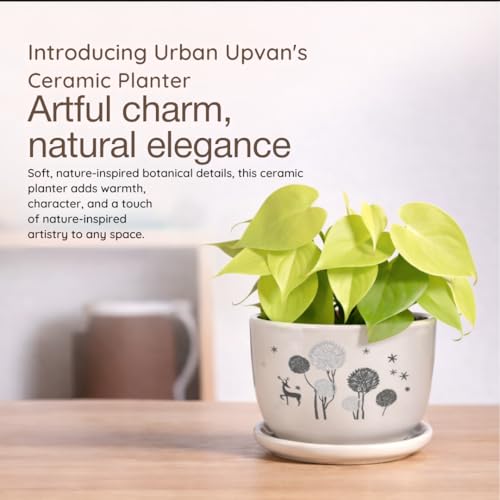 Image of Urban Upvan Printed Design Ceramic Pot with Tray - Premium Decorative Planter for Indoor & Outdoor Plants, Modern Elegant Flower Pot for Home, Garden & Office