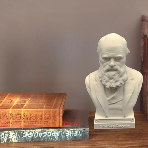 Busto Charles Darwin Estatua Decorativa 6 x 4 x 3 in miniatura 5