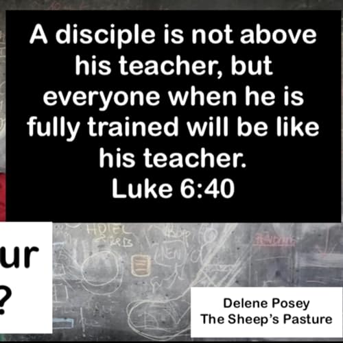 Couverture de WHO IS YOUR TEACHER?