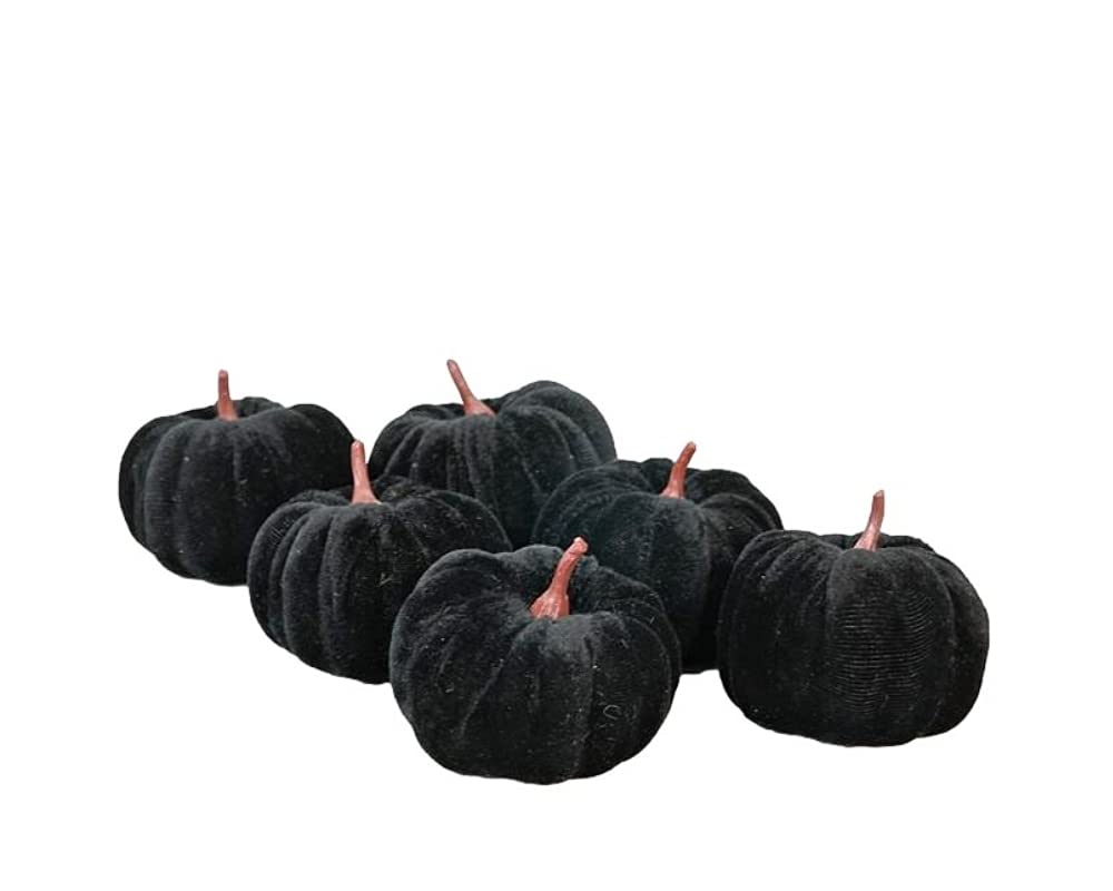The Bridge Collection Small Decorative Velvet Pumpkins, Set of 6 (Black)