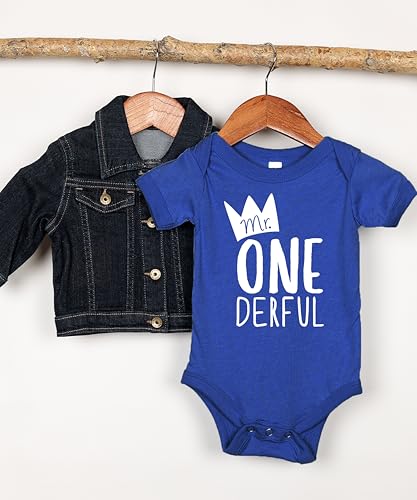 Olive Loves Apple Mr One-Derful Baby Boys 1st Birthday Bodysuit First Birthday Outfit for Boys4