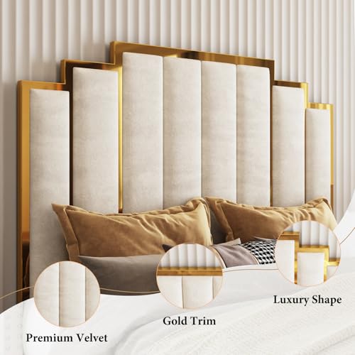 Image of AMERLIFE Queen Size Upholstered Bed, Modern Velvet Bed Frame with 61.4 inch Tall Gold Trim Headboard, No Box Spring Needed, Cream