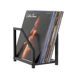 Metal Record Stand for Tabletop Holds 40 LPs, Vinyl Record Holder with Square Base & Non-Slip Pads, All Metal Album Display Storage for Home Decor - Les Beatles, Paul McCartney, John Lennon, RIngo Starr, George Harrison