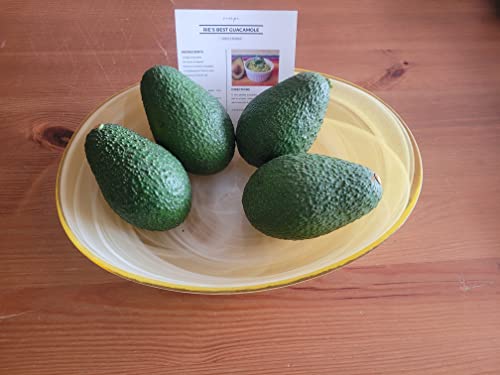 Pack Of 8 Hass California Avocado – Guacamole Recipe Card Included – Handpicked Fresh Produce Avocado Fruit – Healthy Diet Option For All Diet And Weight Loss Plans – Cholesterol-Free – Nutrient Booster #TOP2