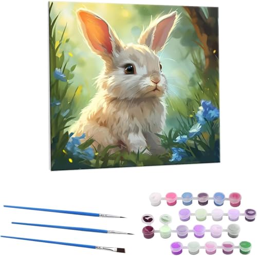 ETM G Paint by Numbers hG Lbg l ʂ肦 lphGLoXNtg  LoXA[g uVƃANG̋, ItBX CeA rO, ւ̃Mtg 30x30cm (t[