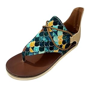 Briskorry Dames Flip Flops Platte Sandalen Teenslippers Sandals Flip Thong Zomerschoenen Vrouwen Schachtsandalen…