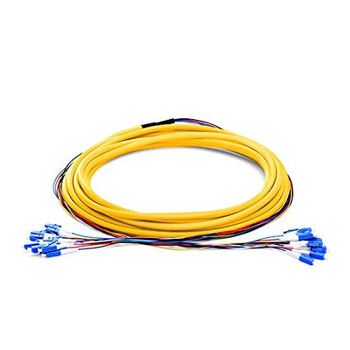 12 Fibers LC LC/APC SC SC/APC Singlemode 9/125 Fiber Optic Patch Cable (30m, LC/APC)