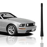 7 Black External Antenna Mast Compatible for Ford Mustang 1979-2009 - Automotive Antenna Replacement for Cars, Trucks & SUV - FM AM Radio Compatible - Car & Truck Exterior Accessories