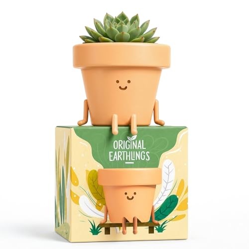 Original Earthlings Plant Pots - Succulent Pots, Indoor Planter with Removable Drainage Plug...