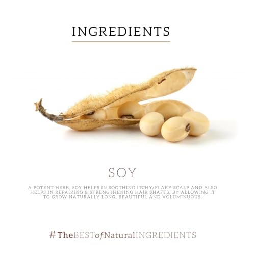 Khadi Natural Soy Protein Hair Oil: Nourishing Elixir for Stronger, Silky-Smooth Hair. Promotes Growth, Reduces Breakage, and Enhances Shine.... - Image 3