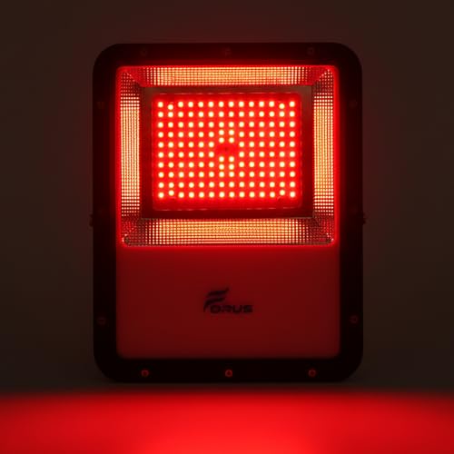 Image of Forus 100W Red Color Flood Light Outdoor LED Waterproof Decorative Focus Lamp for Home Garden Events Security Terrace Landscape Pathway Building Festival Stage Party Celebration Lighting - 1 Pc