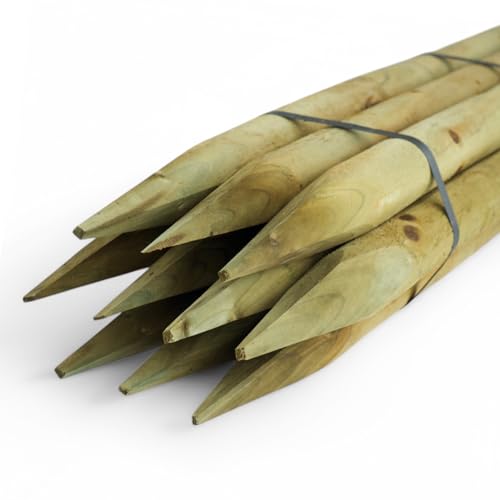 10 Stück 4,6 cm Verschiedene Längen - Hochwertige imprägnierte Zaunpfähle aus Holz | Angespitzte Baumpfähle | KDI Grün Rundpfähle für Garten, Landwirtschaft & Landschaftsbau (100 cm)