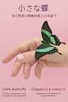 The International Butterfly Book 英語版 初版本 The International Butterfly Book 英語版 初版本 The