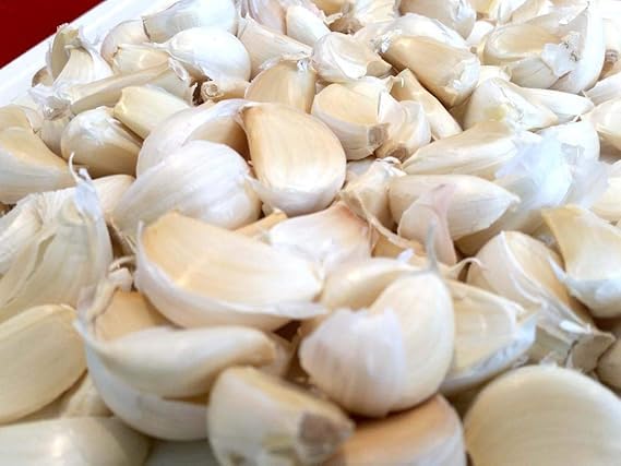 10 Garlic Bulbs for Planting ‘Provence Wight’ – Large White Garlic Variety for Home Growing