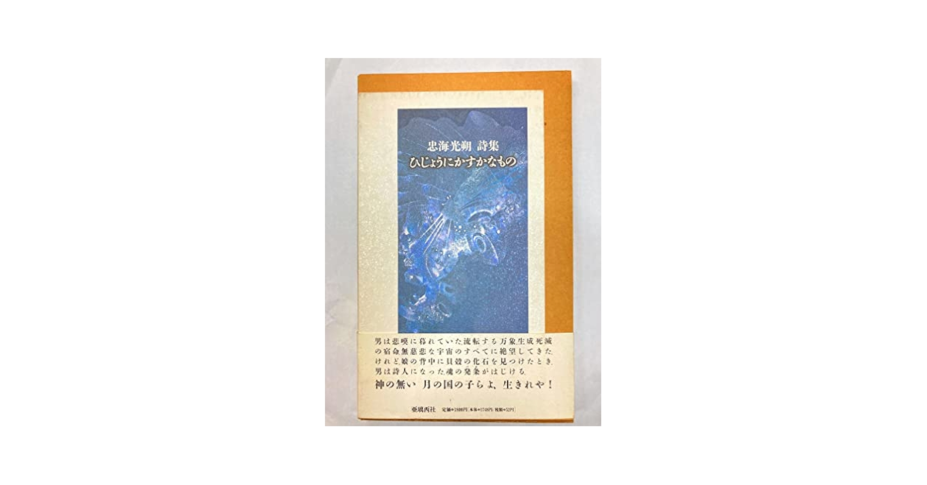 虹ボ-トの氷砂糖 詩集/花神社/本多明（単行本） 81Y4Vopl3ML.jpg