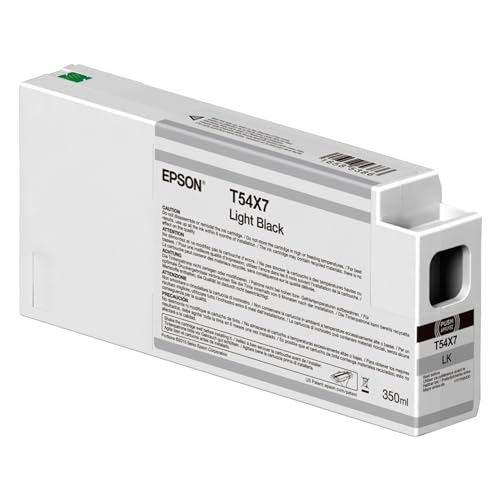Epson C13T54X700 Noir 350ml
