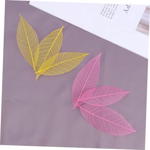 Amosfun 50 Unidades Plantas Artificiais Decorativas Folhas De Esqueleto Folhas De Recados Naturais F