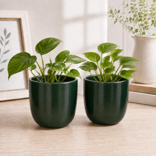 Image of ecofynd 5 Inch Ceramic Plant Pots with Drainage Hole, Modern Decorative Clay Flower Pots for Indoor Plants, Home Garden Decor for Living Room, Bedroom & Interior Spaces (Pack of 2, CPOT041-DGN)