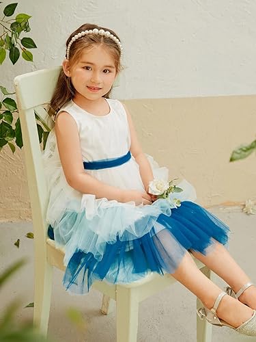 Image of TAGAS Girls Princess Party Dress | Mesh Layered Fit & Flare Frock for Girls | Pearl Embellished Tulle Dress | Birthday Dressess | Wedding Kids Fancy Frock (3-11 Years)