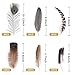 Holmgren 48pcs Natural Feathers Bulk - 6 Styles Assorted Peacock, Pheasant, Turkey Feathers for Craft DIY Jewelry Hat Wedding Home Party Decoration