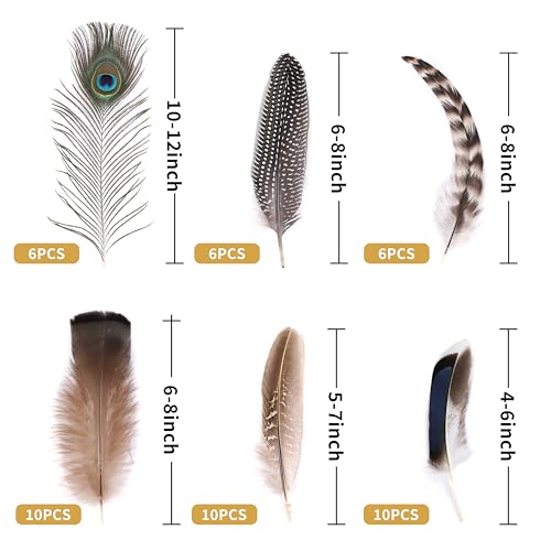 Holmgren 48pcs Natural Feathers Bulk - 6 Styles Assorted Peacock, Pheasant, Turkey Feathers for Craft DIY Jewelry Hat Wedding Home Party Decoration