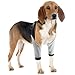 WIHFHGZ Dog Recovery Suit Front Legs, Adjustable Elbow Protector Sleeve, Breathable Fabric - Lightweight Abrasion, Prevents Licking and Biting, Comfortable Fit for Active Dogs (Size S)