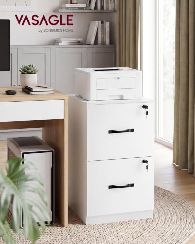 Image of VASAGLE 2 Drawer File Cabinet with Locks, for A4, Letter Sized Documents