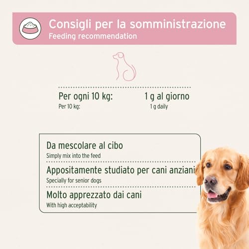 AniForte Senior Active Pulver 250 g für ältere Hunde - Mineralien, Aminosäuren & Vitamine für Hunde, unterstützt Gedächtnis- & Herzfunktion, Grünlippmuschel für Vitalität & Agilität, Senioren Futter