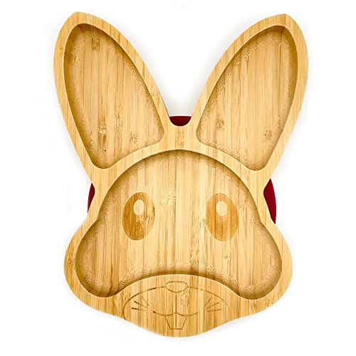 Eco Health Assiette en bambou pour bébé avec ventouse en silicone solide pour le sevrage et l'alimentation des tout-petits, fabriquée à partir de bambou naturel bio (rose vif) Cover