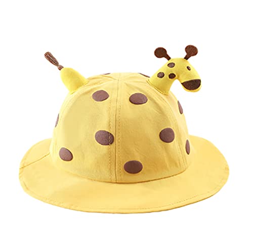 [Afindern] xr[Lbv Ԃ Xq 1?3   Rbg _炩 R h~ O΍ o a oY vZg j̎q ̎q tďH 3F