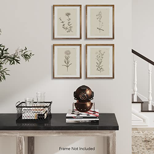 Vintage Botanical Plant Wall Art Prints - Neutral Minimalist Flower Posters - Mid Century Picture For Bedroom, Bathroom, Kitchen, Home Office - Beige Rustic Farmhouse Room Decor Aesthetic Boho Sketch #TOP3