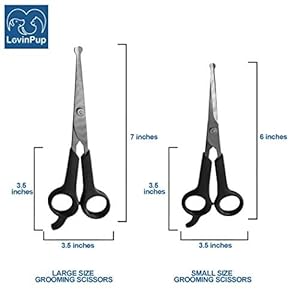 Dog Grooming Scissors 2 Pack Pet Scissors Cuts Facial Hair and Body Fur Stainless Steel with Safety Rounded Tips for a Painless Smooth and Clean Cut Safe Dog Clippers for Grooming  Cucciolini Doodles Dog grooming scissors 2 pack pet scissors cuts facial hair and body fur stainless steel with safety rounded tips for a painless smooth and clean cut safe dog clippers for grooming   cucciolini doodles