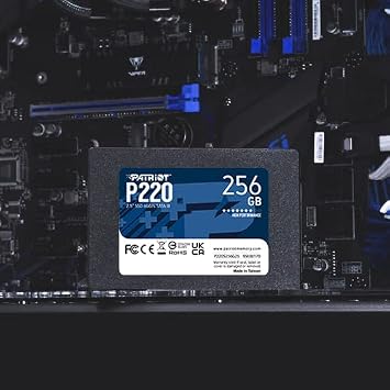 Patriot Memory P220 Built-in Solid State Drive 256GB SSD SATA 3 2.5 inch