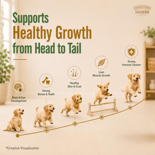 Image of Grain Zero Puppy Dry Dog Food 1.2kg | Real Chicken, Egg & Vegetables | 48% Meat Inclusion, No Grain Formula, Gluten-Free | Promotes Healthy Skin & Coat | All Breeds