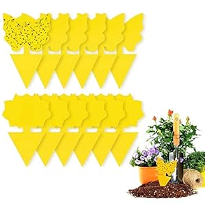 YANGWEN Fly Trap Fruit，20Pcs Gelbsticker Fliegenfänger, Sticker Fliegenfänger Gelbtafeln Fruchtfliegenfalle klebefalle Gegen Trauermücken für für Fruchtfliegen, Mücken