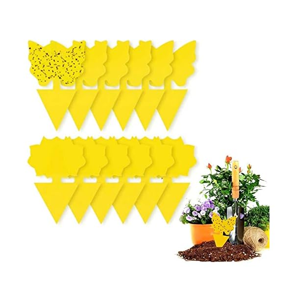 YANGWEN Fly Trap Fruit，20Pcs Gelbsticker Fliegenfänger, Sticker Fliegenfänger Gelbtafeln Fruchtfliegenfalle klebefalle Gegen Trauermücken für für Fruchtfliegen, Mücken