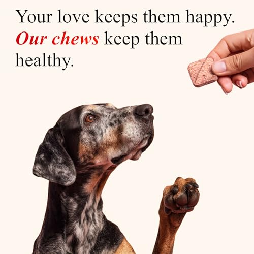 Image of Petroyale Cranberry Chew Tabs for Dogs - Dog UTI Health Supplement - Better Urinary Tract & Bladder Function - Antioxidant, Anti-Inflammatory - for Dogs of All Breeds (60 Soft Chews)