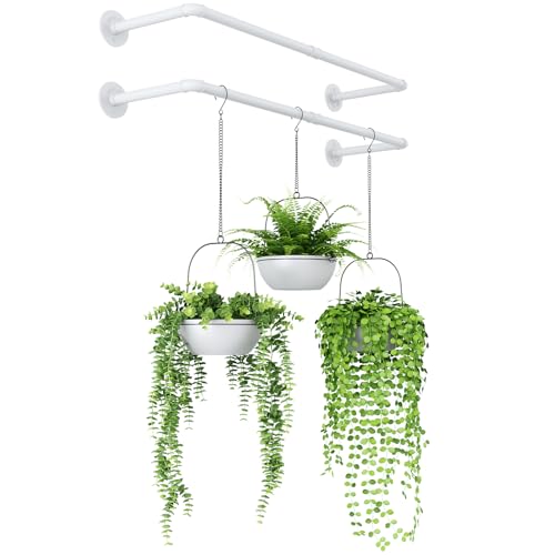 Bamworld: Maceteros Colgantes para Plantas