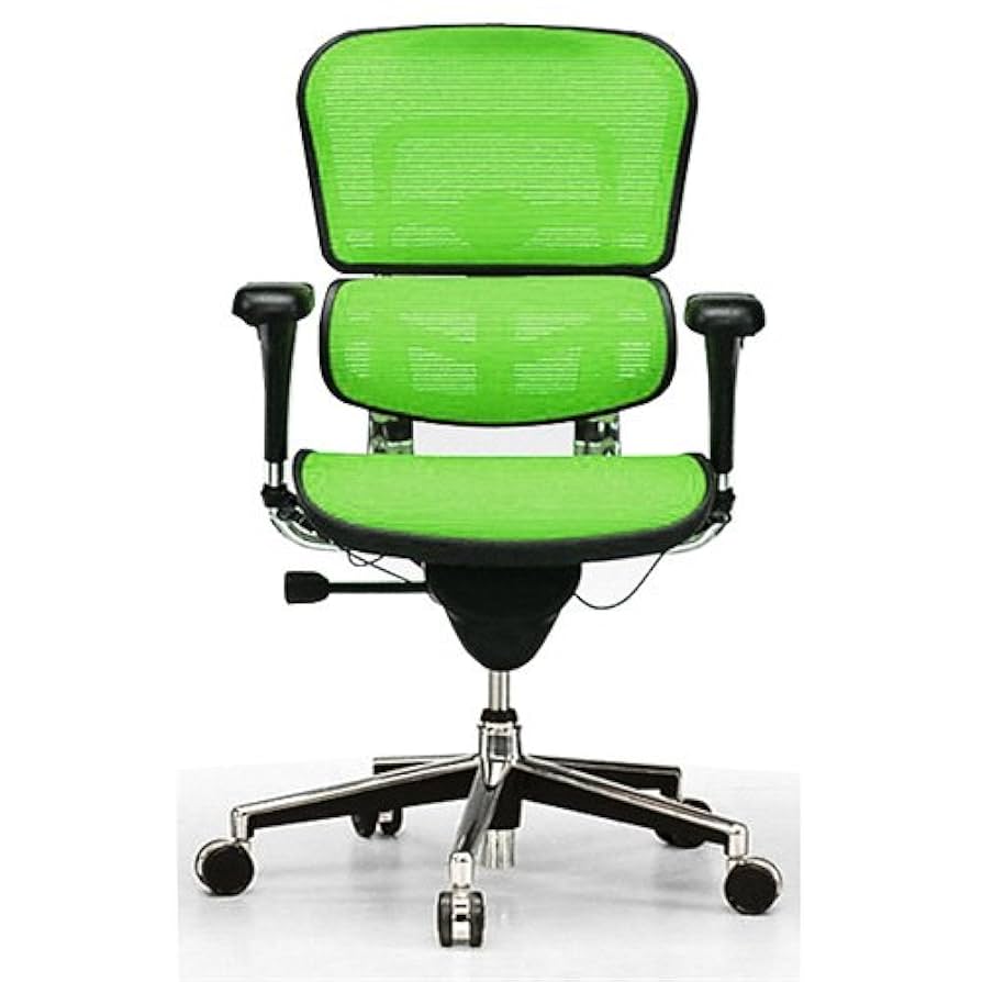 Amazon.co.jp: Ergohuman (エルゴヒューマン) メッシュチェア