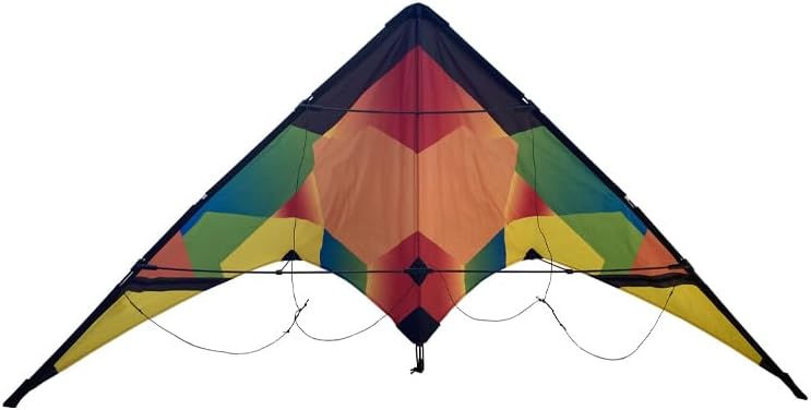 Adult Outdoor Sports Double line Stunt Kite, 60.24 inch Beginner Sports Kite, Beach Park Fun Toy Including String and Bag