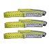 3 Pack 3FT Lift Sling Straps, 2 Ply Polyester Rigging Straps, 1 inch Web Sling, 3100LBS Load Capacity Flat Eye-Eye Web Sling for Hoist, Tree Stumps, Heavy Duty Cargo