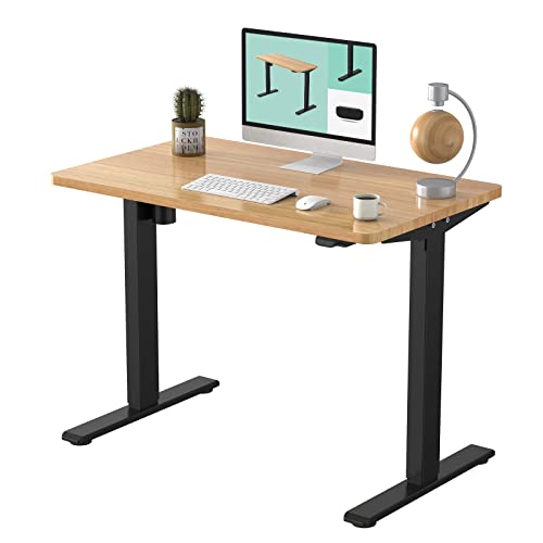 FLEXISPOT 電動式スタンディングデスク 昇降デスク 高さ調節デスク パソコンデスク 人間工学 ゲーミングデスク 学習机 EG1+直角天板セット