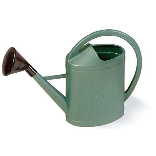 Arrosoir 11 litres avec pomme démontable