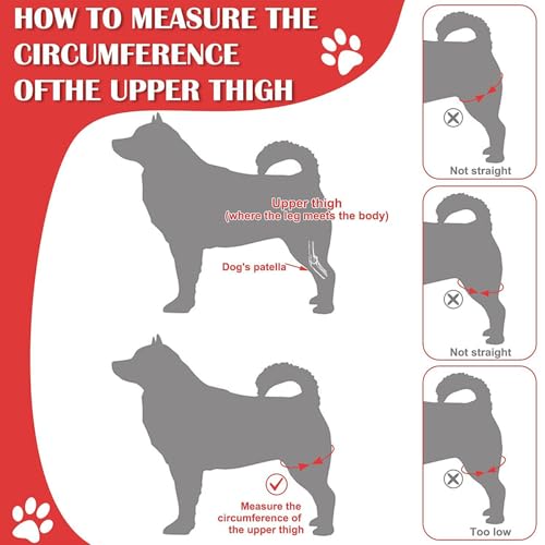 DKDDSSS Kniebandage Hund Hinterbein - Bandage für Hund mit Kreuzbandriss, Recovery Sleeve Hund - Unterstützung und Schutz für Hinterbein